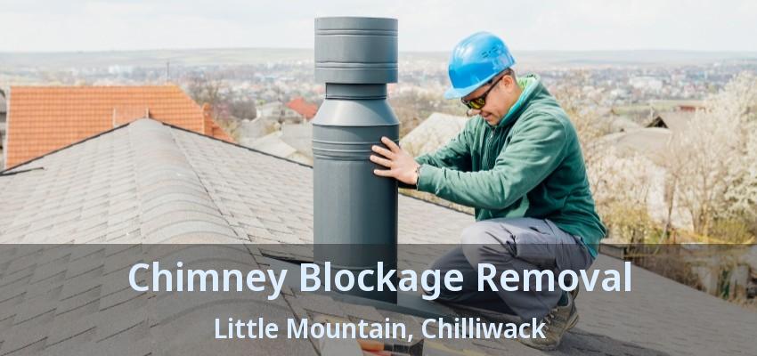 Chimney Blockage Removal Little Mountain, Chilliwack - BC