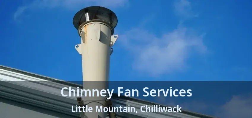 Chimney Fan Services Little Mountain, Chilliwack - BC