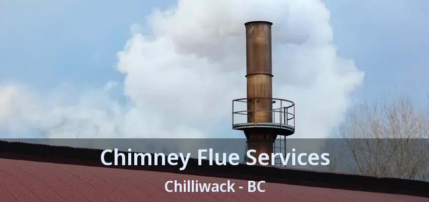 Chimney Flue Services Chilliwack - BC