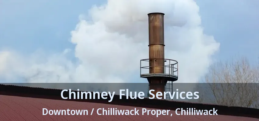 Chimney Flue Services Downtown / Chilliwack Proper, Chilliwack - BC