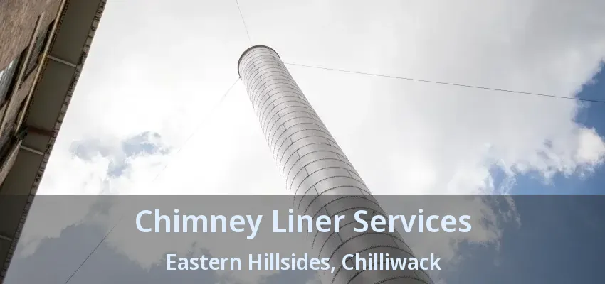 Chimney Liner Services Eastern Hillsides, Chilliwack - BC
