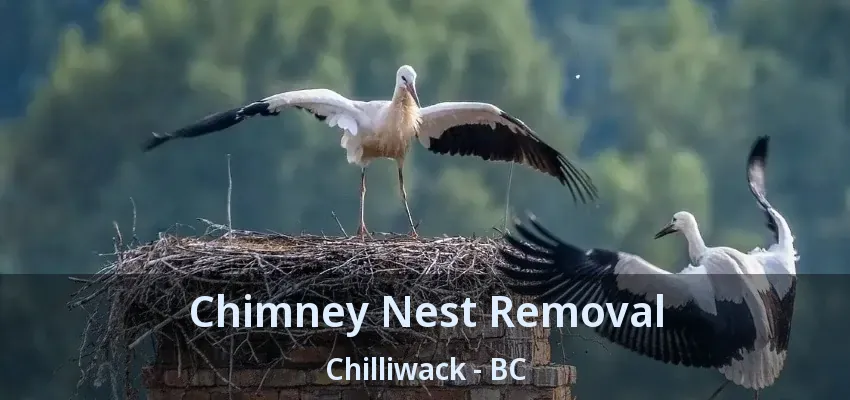 Chimney Nest Removal Chilliwack - BC