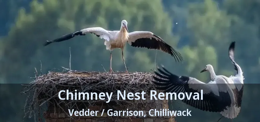 Chimney Nest Removal Vedder / Garrison, Chilliwack - BC Chimney Nest Removal Vedder / Garrison, Chilliwack - BC