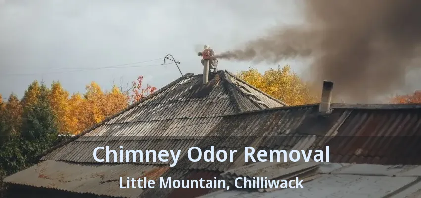 Chimney Odor Removal Little Mountain, Chilliwack - BC Chimney Odor Removal Little Mountain, Chilliwack - BC