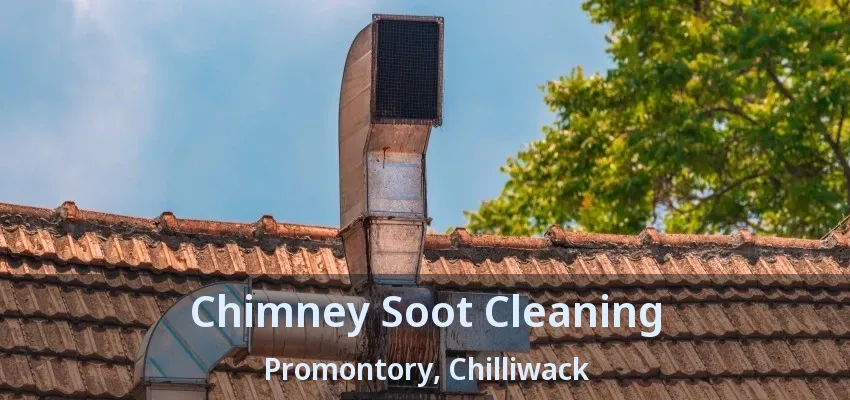 Chimney Soot Cleaning Promontory, Chilliwack - BC