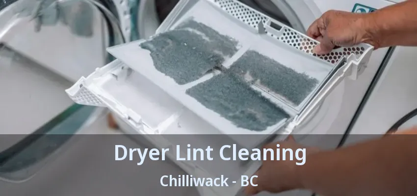 Dryer Lint Cleaning Chilliwack - BC