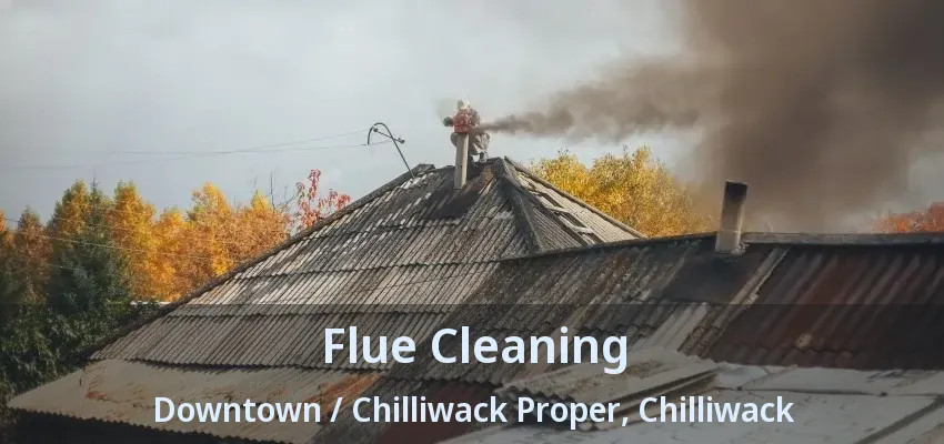 Flue Cleaning Downtown / Chilliwack Proper, Chilliwack - BC