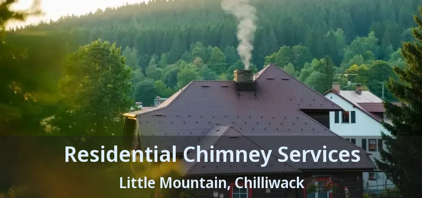 Residential Chimney Services Little Mountain, Chilliwack - BC